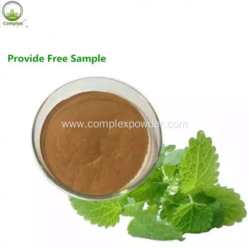 The Best Lemon Balm Extract Melissa Officinalis Extract